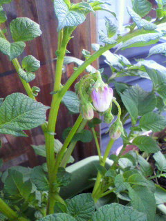 2011053106230000.jpg