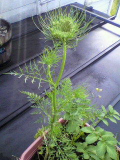 2011053106240000.jpg