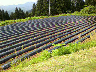 2011061314190000.jpg
