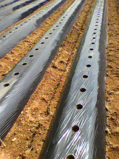 2011061314190001.jpg