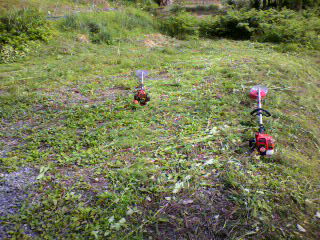 2011061516070000.jpg