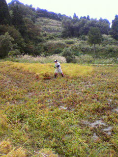 2011100509160000.jpg