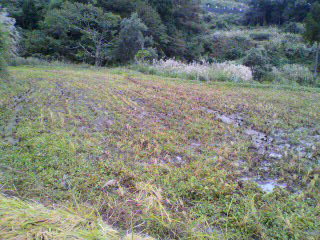 2011100511360000.jpg