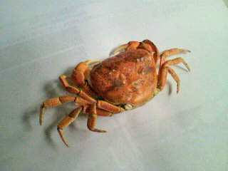 2011101114180000.jpg