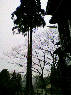 2011112810410000.jpg