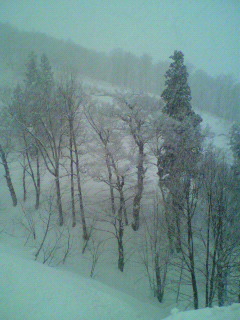 2012011316290000.jpg