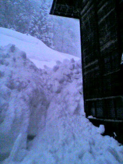 2012011316540000.jpg