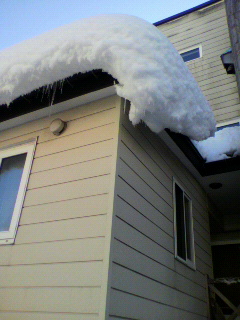 2012011808530000.jpg