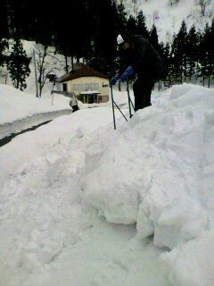 2012012109580000.jpg