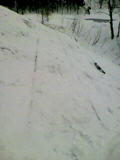 2012012110530000.jpg