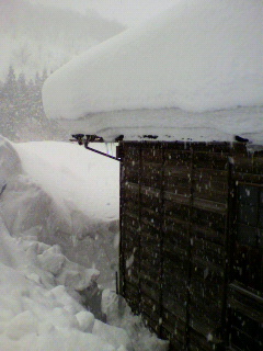2012020110190001.jpg
