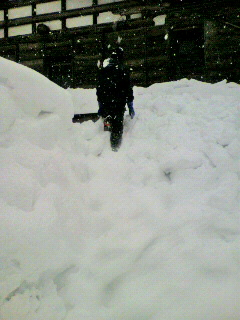 2012020111450000.jpg