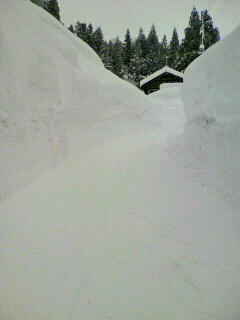 2012020115500000.jpg