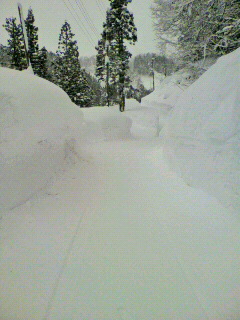 2012020115510000.jpg