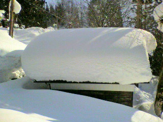 2012020609080000.jpg