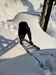 2012020609150000.jpg