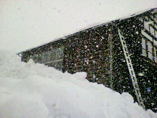 2012020811190002.jpg