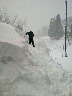 2012020814010000.jpg