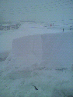 2012020916400000.jpg