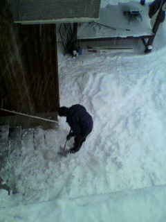 2012020916400001.jpg