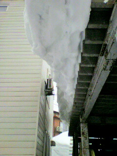 2012022308580000.jpg