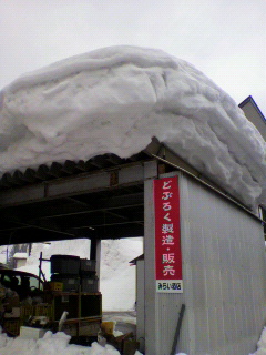 2012022308580001.jpg