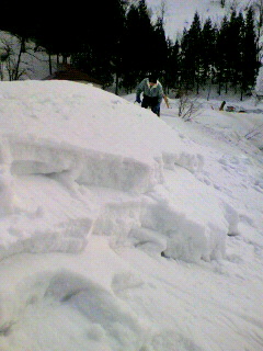 2012022409040000.jpg
