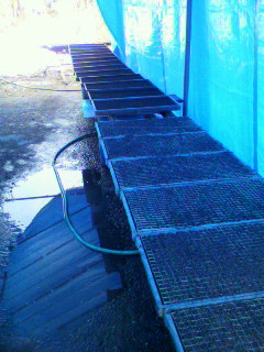 2012042414550000.jpg