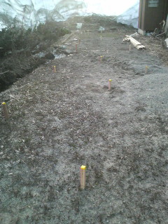 2012042819330000.jpg
