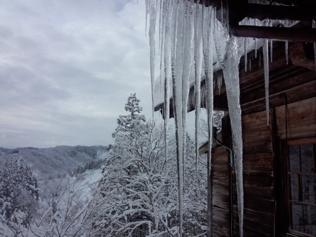 DSC_3879.jpg