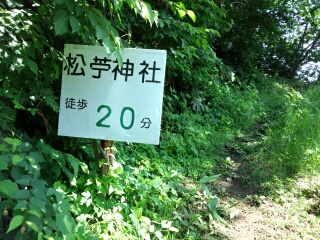 14038367735432.jpg