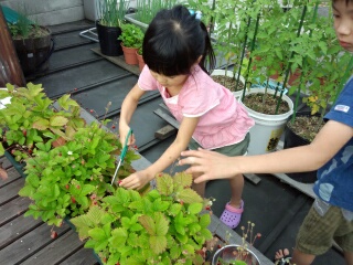 14041040930351.jpg