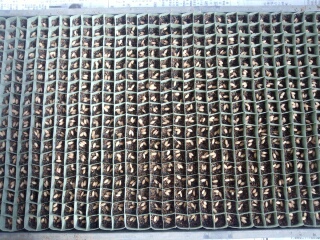 14296808313133.jpg