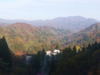 20181108_1946556.jpg