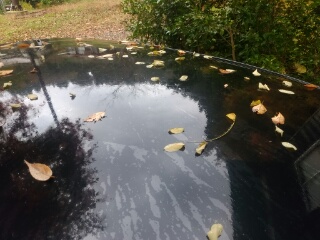 20181109_1947498.jpg