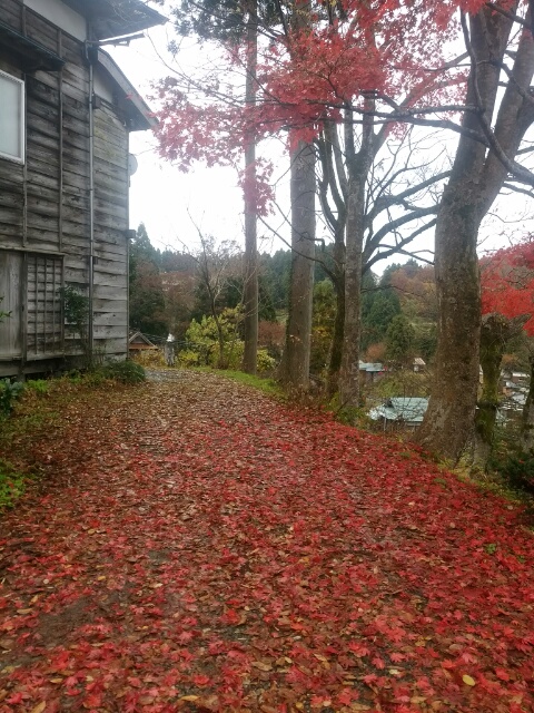 20181115_1953426.jpg