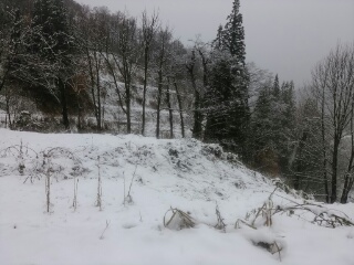 20181124_1962493.jpg