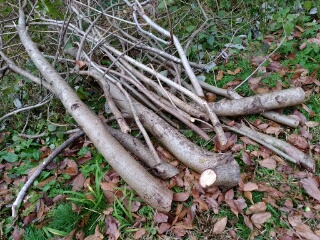 20181124_1962495.jpg
