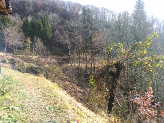 20181126_1965020.jpg