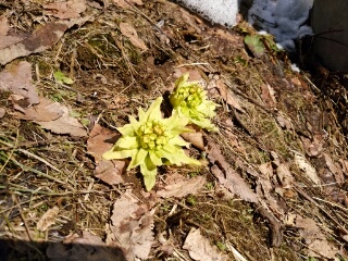 20190318_2073290.jpg