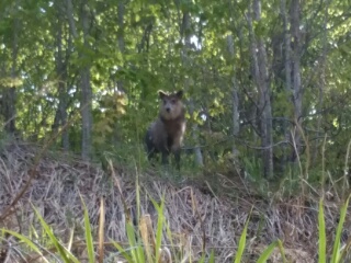 20190503_2120281.jpg