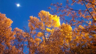 100326_182911_ed.jpg