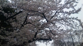100401_084935_ed.jpg