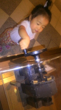 2011062618450000_ed.jpg