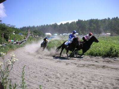 けっこう白熱したレースが繰り広げられている