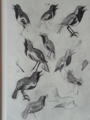 田中一村について | クレアーレ便り