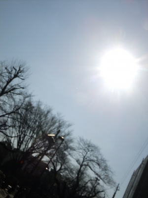 DSCF0459.jpg