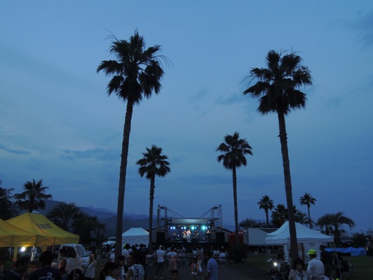 全景
