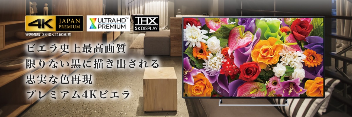 TH-65DX950 TH-58DX950