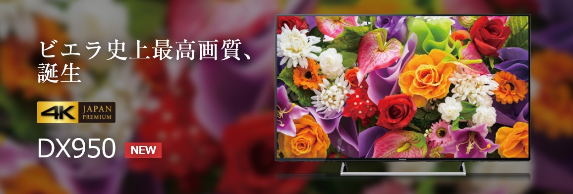 PANASONIC DX950